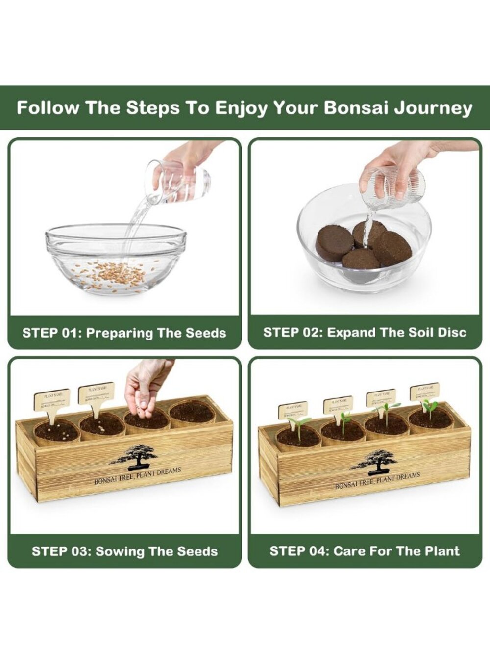 Complete Bonsai Tree Growing Kit - Perfect Gardening Gift for Plant Lovers - Picture 5 of 8